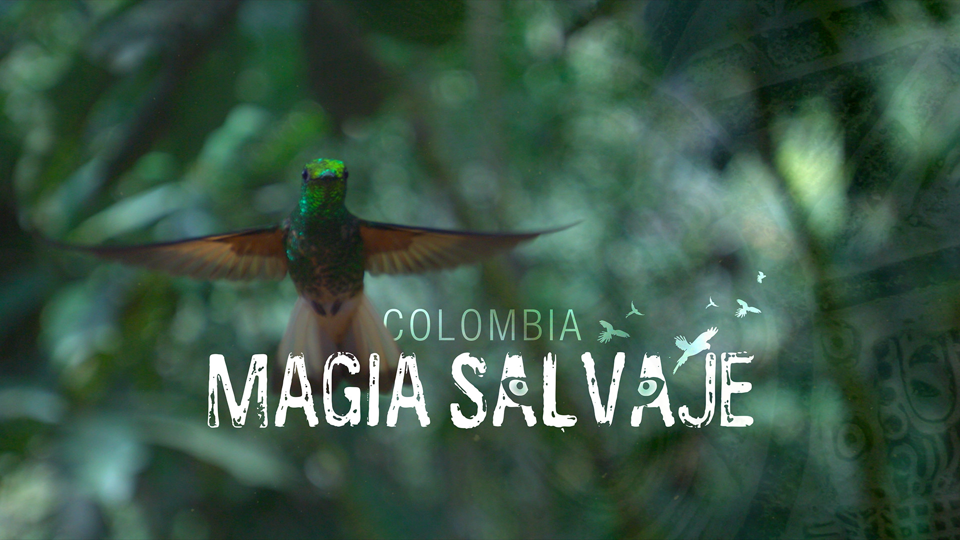 Colombia: Wild Magic ©Holey & Moley Ltd