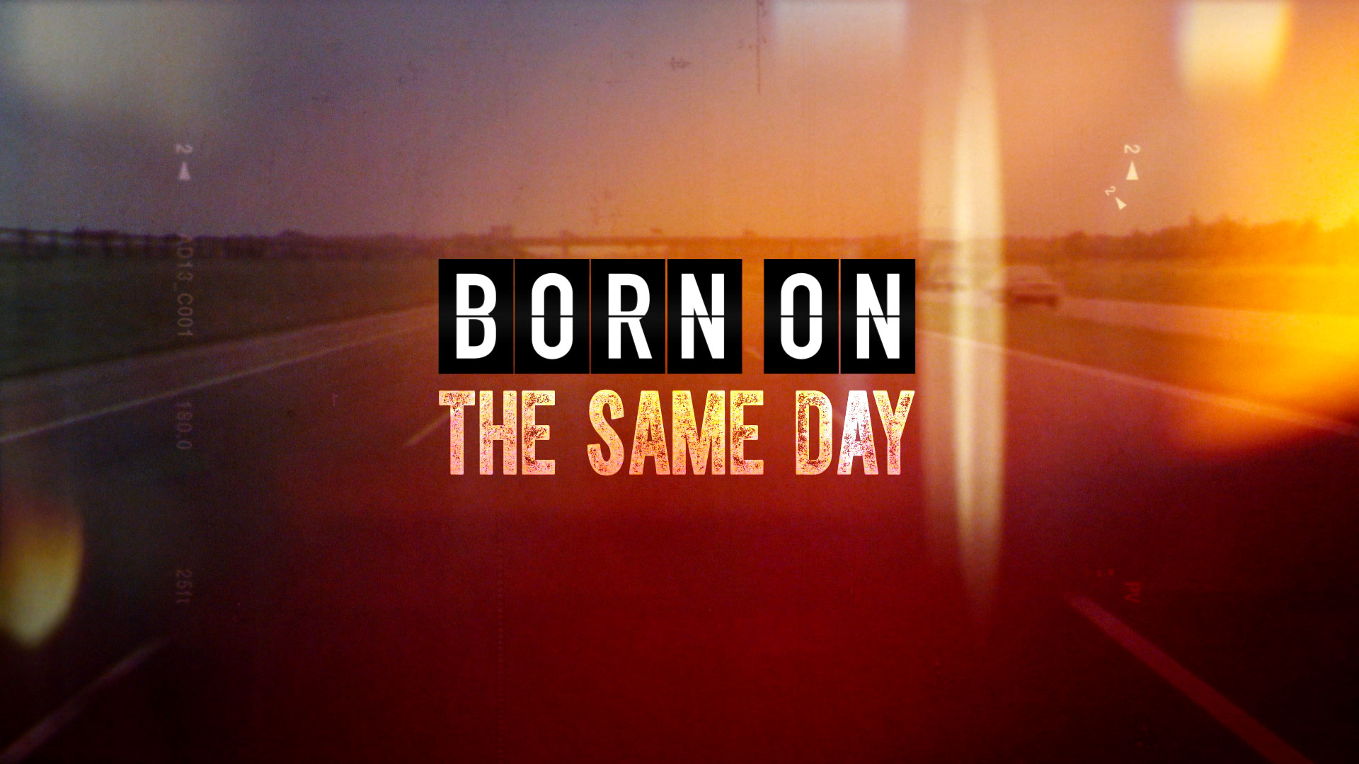 Born On the Same Day © Holey & Moley Ltd