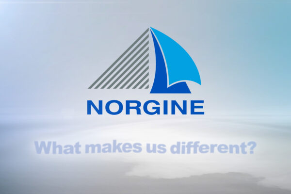 Norgine © Holey & Moley Ltd