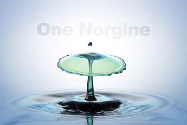 Norgine © Holey & Moley Ltd