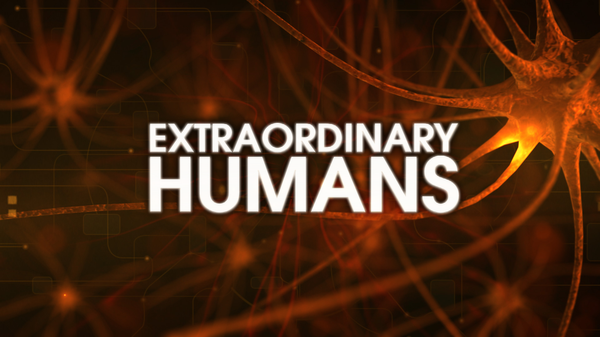 Extraordinary Humans ©Holey & Moley Ltd 2015