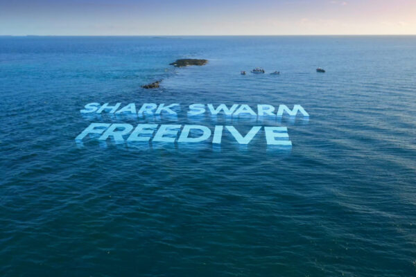 SS_EP2_EM05_FREEDIVE 02