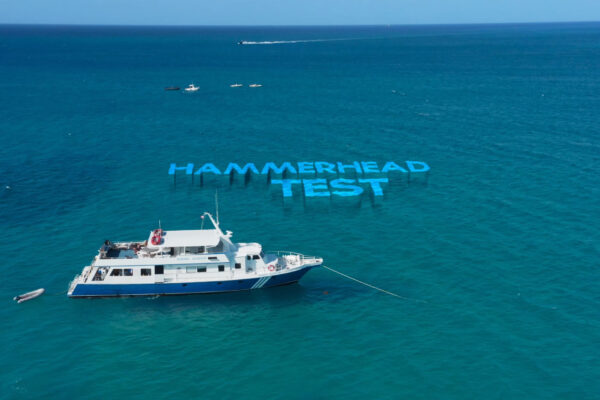 SS_EP5_EM03_HAMMERHEAD TEST