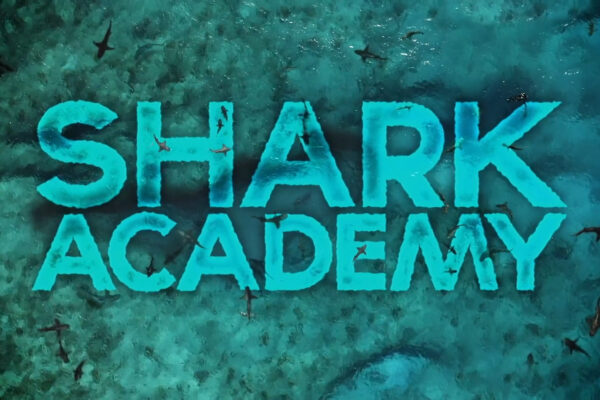 Shark Academy - Titles Sequence (0-02-11-22)