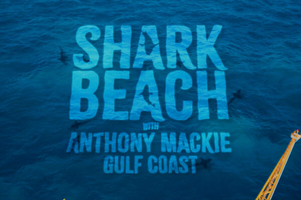 Shark Beach - Logo Concept 01 Shark Beach - Logo Concept 01