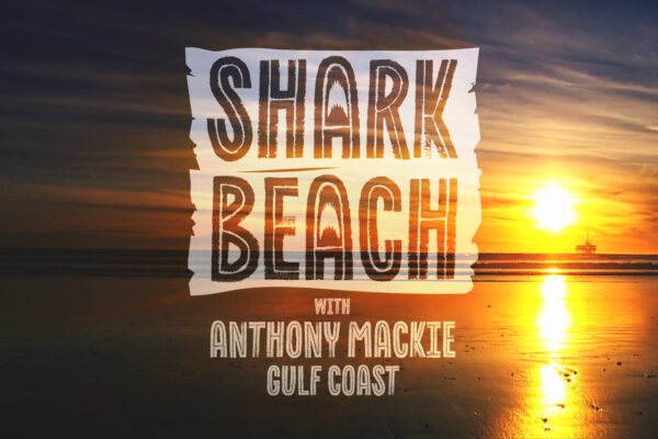 Shark Beach - Logo Concept 02 Shark Beach - Logo Concept 02