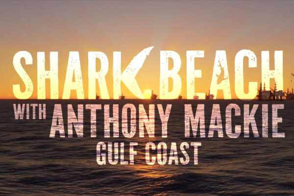 Shark Beach - Logo Concept 04 Shark Beach - Logo Concept 04