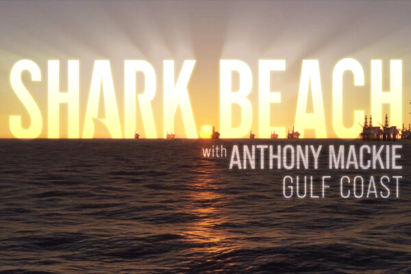 Shark Beach - Logo Concept 06 Shark Beach - Logo Concept 06