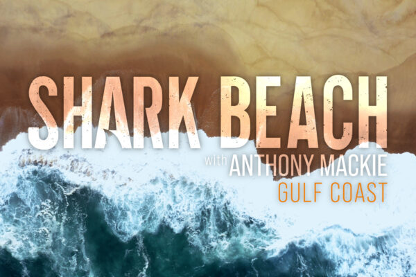 Shark Beach - Logo Concept 07 Shark Beach - Logo Concept 07