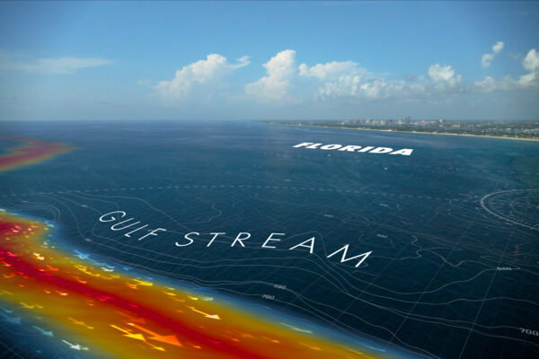 Shark Beach with Anthony Mackie - Gulf Stream