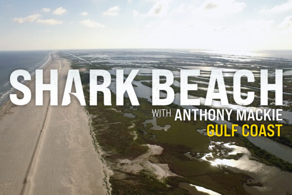 Shark Beach with Anthony Mackie - Titles