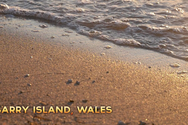 Netflix-Cheat-Unfinished-Business