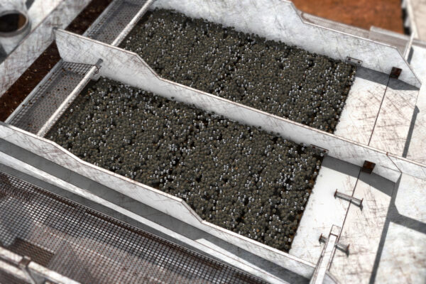 Gold-Rush-Mine-Rescue-with-Freddy-and-Juan-Season-5